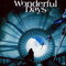 WONDERFUL DAYS